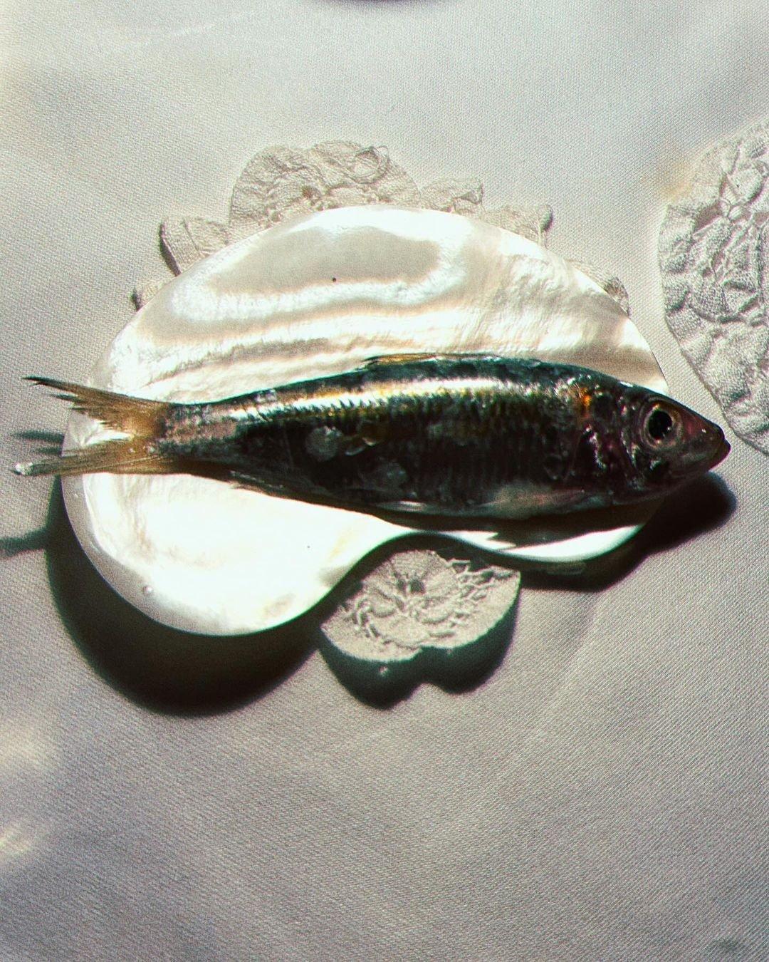 Un petit poisson servi sur une coquille de nacre, sur une nappe brodée